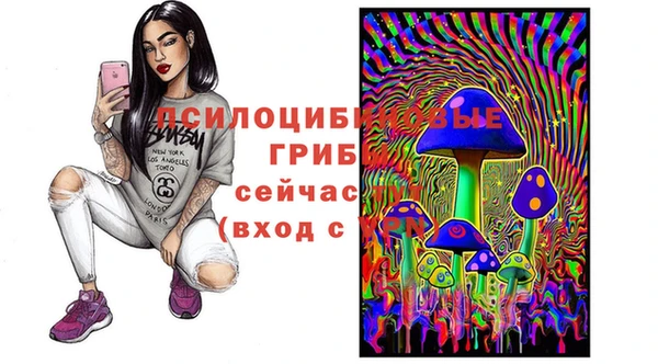 каннабис Алзамай